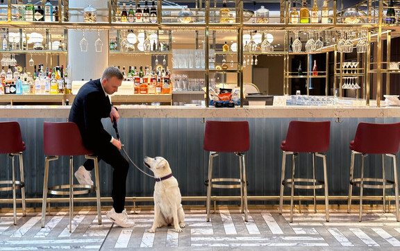 Hundefreundliche Hotels bei Marriott Bonvoy: Von himmlischen Hundebetten und pfotastischen Leckereien bis hin zu „Dogtails“