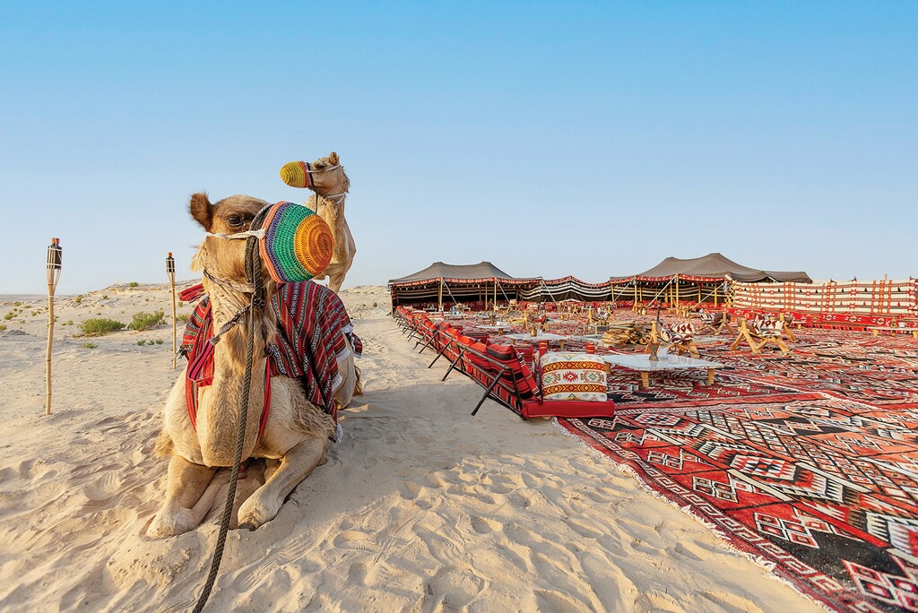 Al Wathba, a Luxury Collection Hotel, Abu Dhabi - Camel back