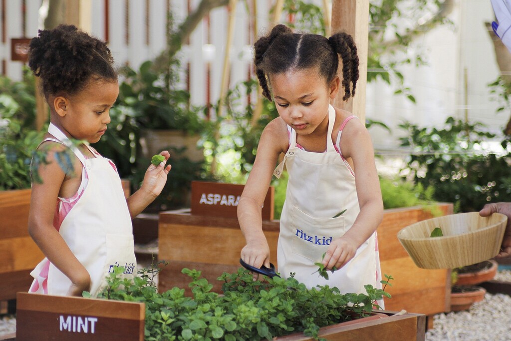 The Ritz-Carlton, Doha - Ritz Kids Garden & Farm