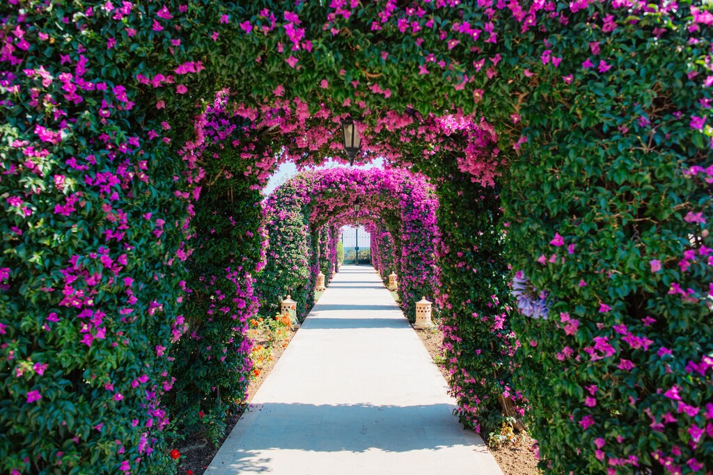The St Regis Mardavall Mallorca Resort - Garden