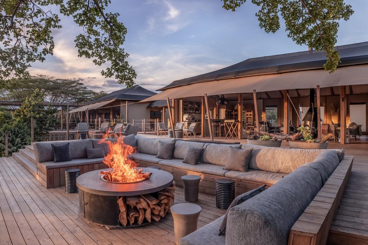 JW Mara - Sundowner FigTree