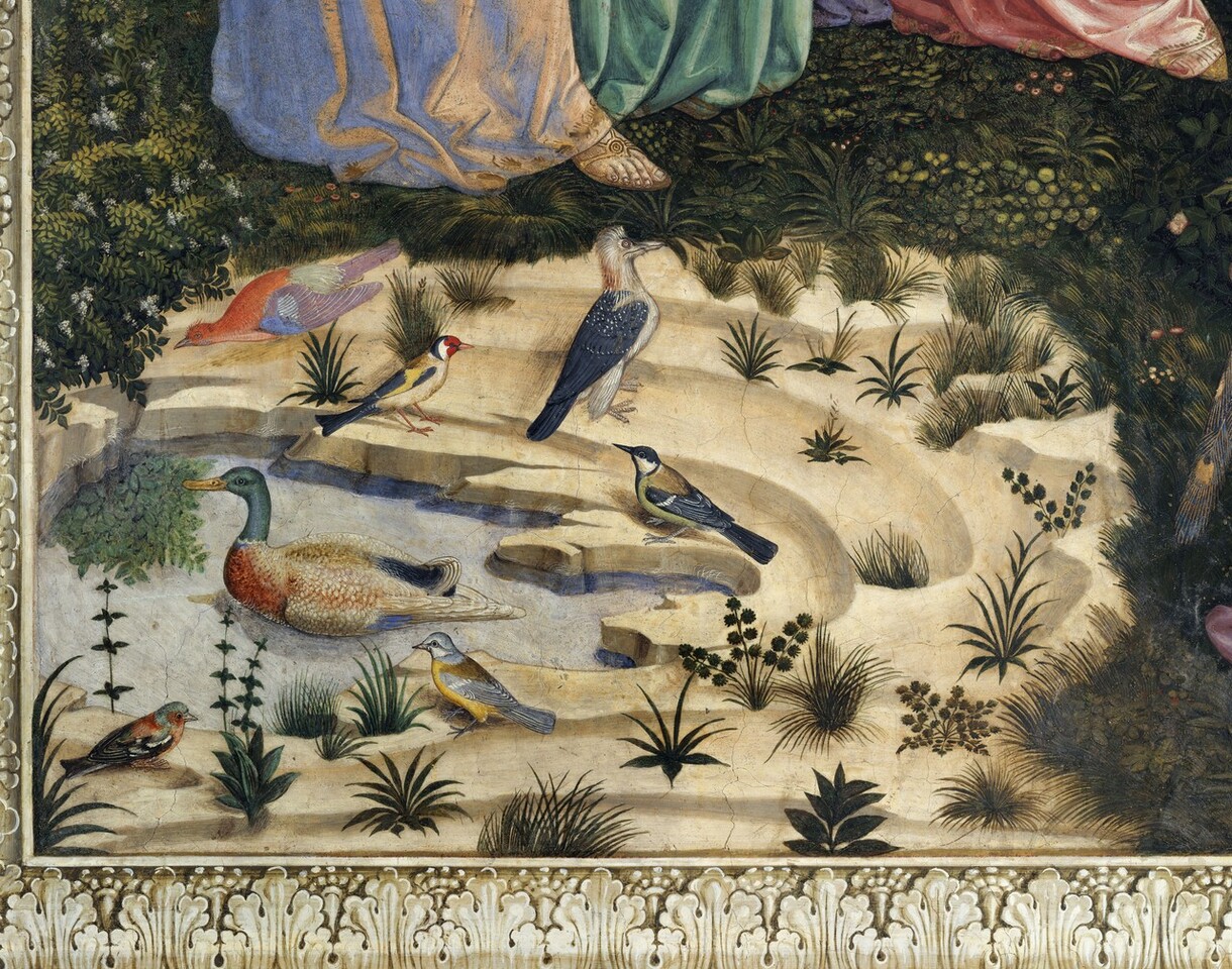 Frescoes detail