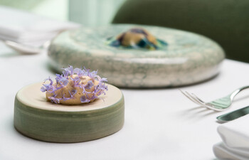JELLYFISH - Cuttlefish, shrimp, green sauce and eggplant cream (1)