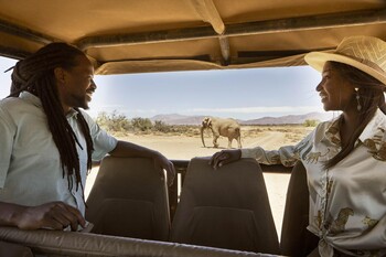 Marriott-safari Cape Town